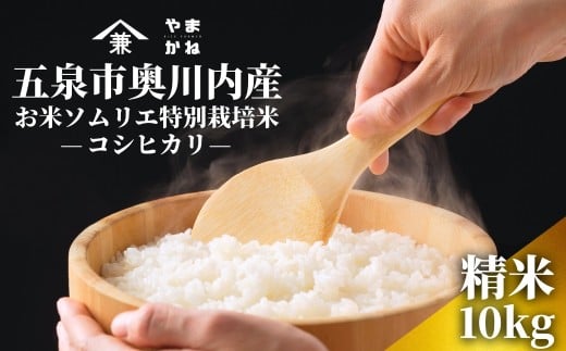 【2025年産新米】五泉市奥川内産 お米ソムリエ特別栽培米 コシヒカリ 精米 10kg(5kg×2袋) 新潟県 五泉市 ライスファーマーやまかね