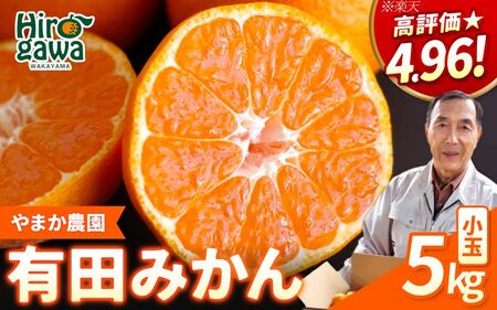 有田 みかん 小玉 5kg / 温州みかん 有田みかん 甘い 小粒 和歌山 柑橘 ※2026年12月上旬〜翌年1月上旬に順次発送 【ymk004-5-sA】