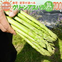 【ふるさと納税】先行予約 数量限定 アスパラ 3Lサイズ 700g 朝採り 直送 選べる 春芽 夏芽 グリーンアスパラガス 朝採れ BT01 BT05