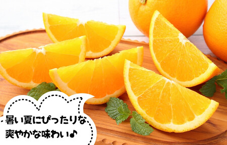 訳あり バレンシアオレンジ  国産 箱込 2.5kg (内容量 2.3kg ) サイズミックス 和歌山県産 産地直送 みかんの会