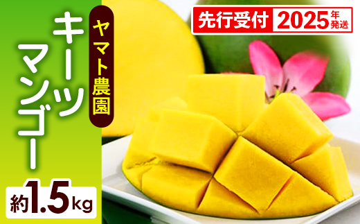 【先行受付】【2025年発送】ヤマト農園 キーツマンゴー約1.5kg - 産地直送 沖縄産 国産 果物 フルーツ 南国フルーツ 旬の味覚 追熟 先行予約 希少種 人気 おすすめ 送料無料 沖縄県 八重瀬町