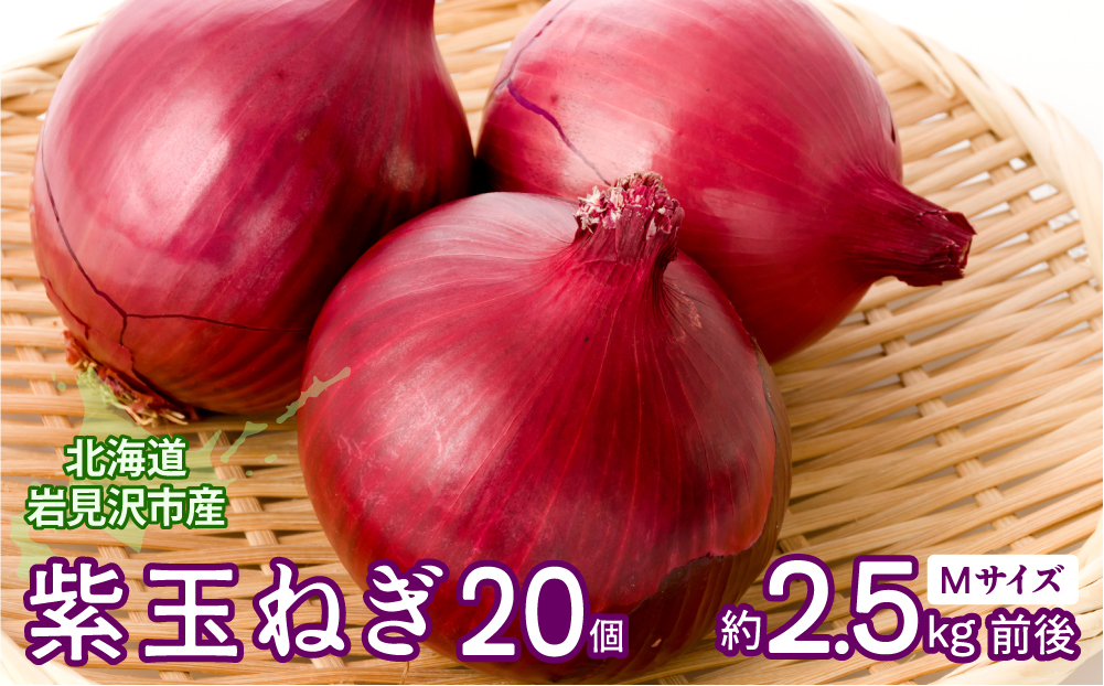 【岩見沢産】紫玉ねぎ20個【09107】[a107-005]