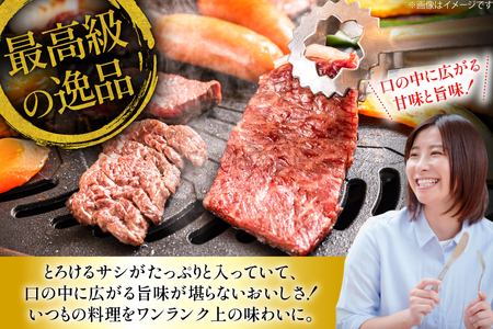 カルビ 和牛 肉 長崎和牛 霜降り カルビ 1.3kg