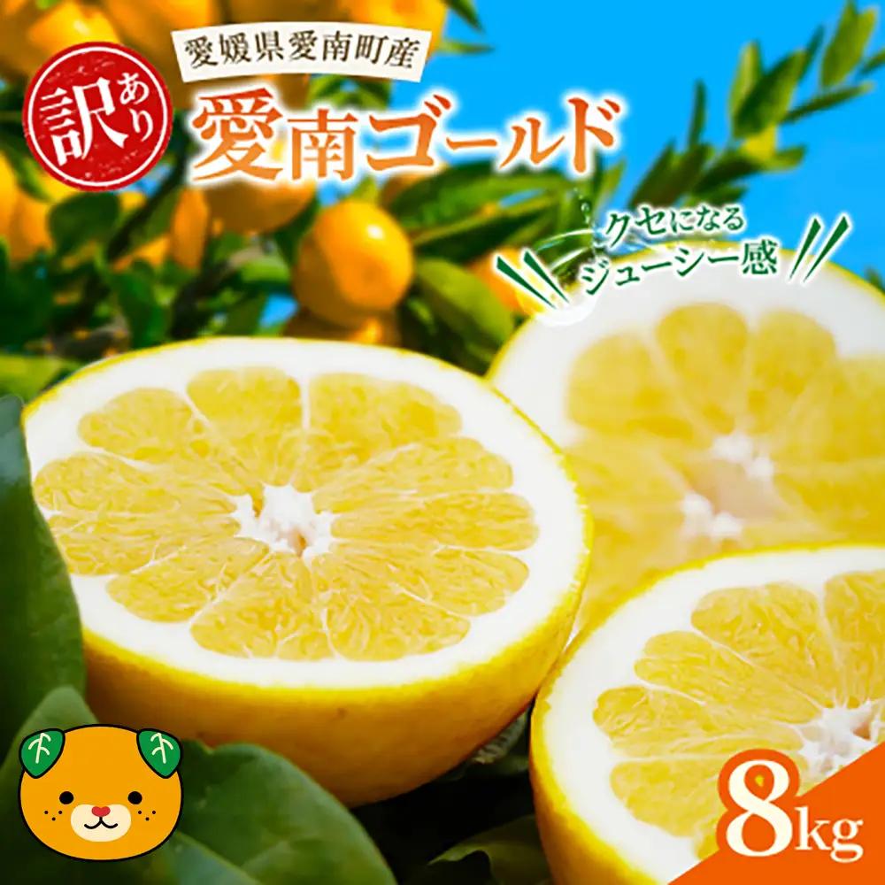 訳あり 愛南ゴールド  (河内晩柑) 8kg +傷み補償分1割程度増量 青果市場 愛媛県 愛南町