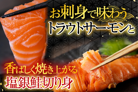 お刺身トラウトサーモン2～5本(計1kg)＆塩銀鮭切り身1切(約70g)×25P C-09045