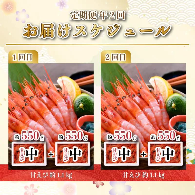 【年2回お届け】 甘えび 約1.1㎏ × 2回 合計2.2㎏ 中サイズ エビ [C-2392]