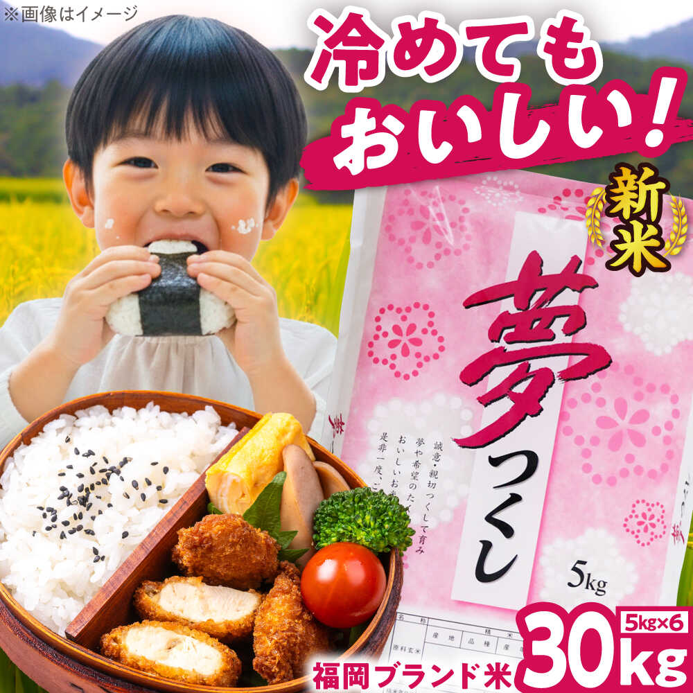 【ふるさと納税】【令和7年度産】夢つくし 30kg 精米 有限会社ファインリョーコク/吉富町[BGBV010]