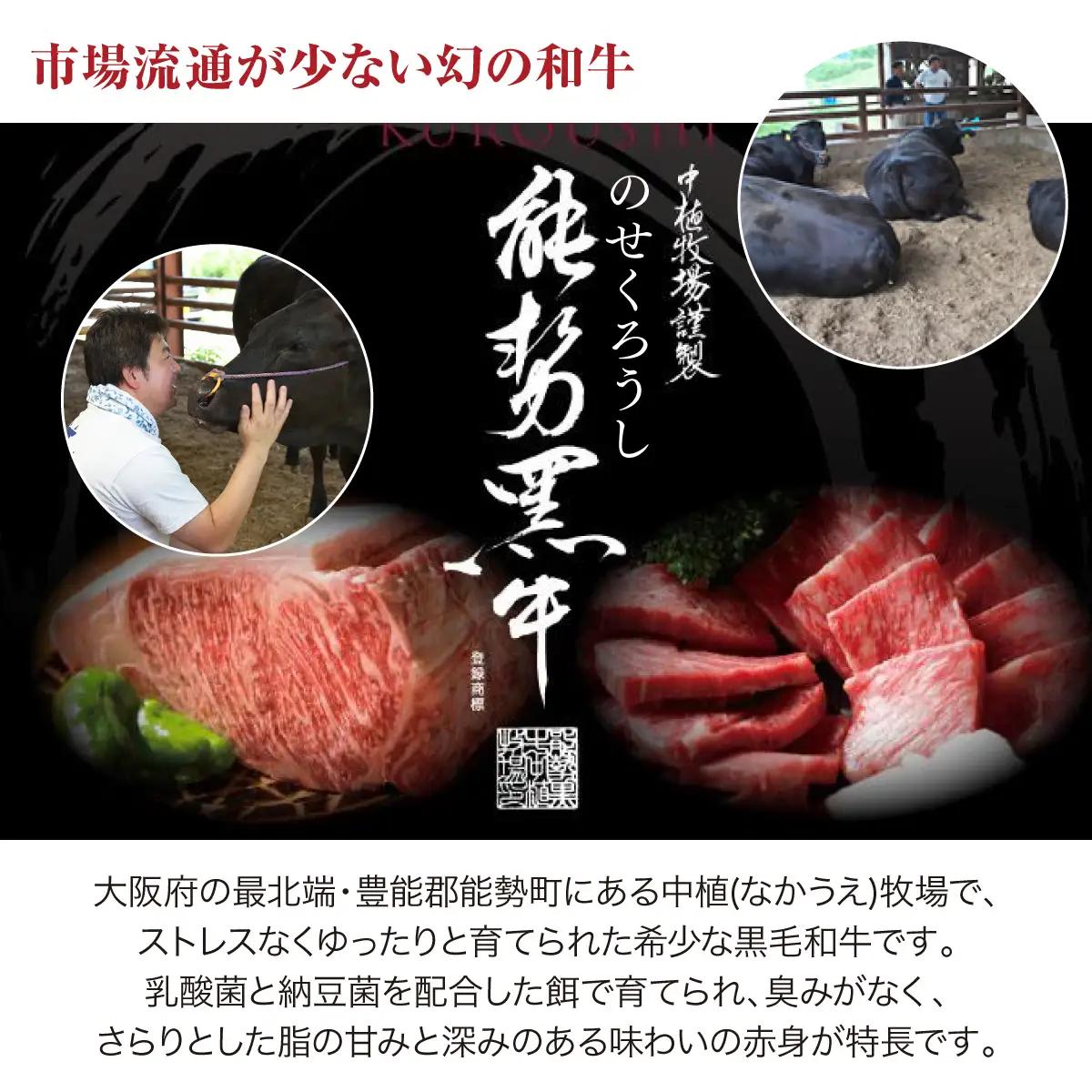 【ふるさと納税】能勢黒牛または能勢黒若牛のすき焼き用500g | 中植牧場 丸昭精肉店 |  牛肉 能勢黒牛 能勢黒若牛 牛ロース モモ すき焼き 柔らか 濃厚 国産 おすすめ 送料無料 贈答 ギフト