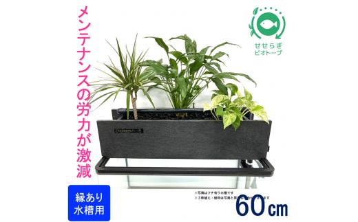 せせらぎビオトープ　60cm型ろ過装置・ 縁あり水槽用（※水槽はついていません）※2025年3月20日まで北海道への発送不可（低温で商品が枯れるため）