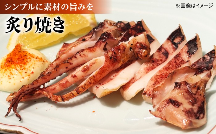 いか イカ 一夜干し 人気 おすすめ 冷凍 干物 いか一夜干し イカ一夜干し 一夜干し