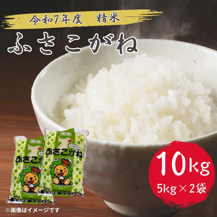 【ふるさと納税】 令和7年産 ふさこがね 精米 10kg （ 5kg × 2 ） 新米 千葉県 匝瑳市 ／ 米 こめ コメ お米 ごはん ご飯 精米 白米 10kg 5kg ふさこがね 令和7年産 新米 JA 農協 ちばみどり ちばみどり農業協同組合 千葉県 匝瑳市 送料無料