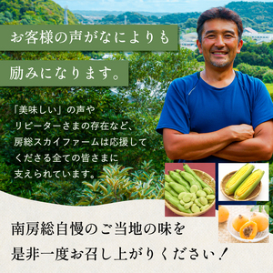 【先行受付 2025年6月上旬～7月中旬発送予定】数量限定！ヤングコーン(ベビーコーン）25本 mi0044-0002 とうもろこし 野菜 ｺｰﾝ 新鮮 数量限定