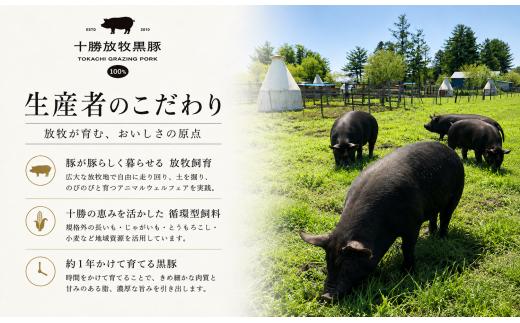 【数量限定】十勝放牧黒豚　極上バルセット 【ふるさと納税 人気 おすすめ ランキング 黒豚 自然放牧 ステーキ ハンバーグ 焼肉 生ハム ソーセージ ベーコン ハム ラクレット チーズ 惣菜 豚肉 B