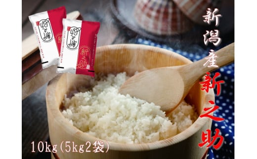 【令和7年産新米】【生産者直送】阿賀野市産「新之助」10kg（5kg×2袋） 安田興和農事 白米 精米 1W05033