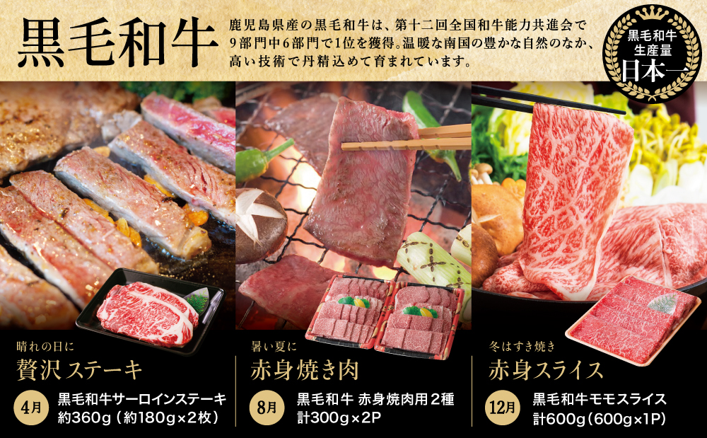 【定期便 全6回】スターゼン厳選お肉の定期便（鹿児島県産黒毛和牛・黒豚） 牛肉 豚肉 サーロイン ステーキ 切り落とし しゃぶしゃぶ 焼肉 すき焼き もも モモ バラ ロース スライス 小分け 定期便