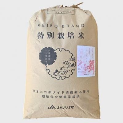 ふるさと納税 宍粟市 玄米 30Kg コシヒカリ「 みかたの舞 」 特別栽培米　P17 |  | 01