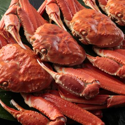 ふるさと納税 泉大津市 ボイルズワイ蟹姿　3kg4尾