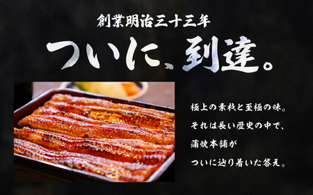 超絶うなぎ蒲焼　特大 4尾