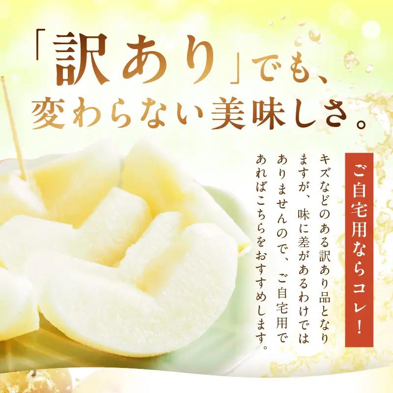 フルーツ 梨【先行予約／数量限定700】新興梨（訳あり） 5kg （7～12玉）（2026年9月下旬～発送）(赤梨 梨 ナシ 梨 梨 梨)
