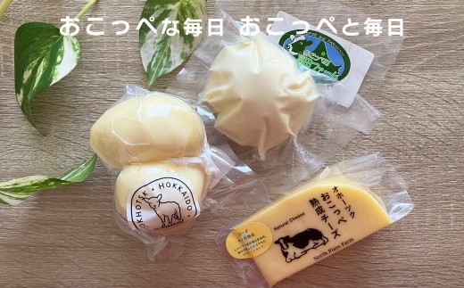 
                  こどもも食べやすい3種チーズセットA【13011】
                