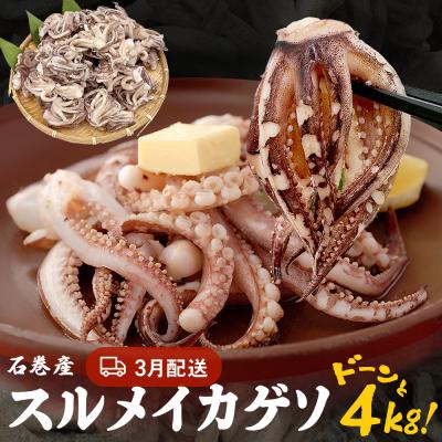 ふるさと納税 石巻市 【3月配送】訳あり 石巻産スルメイカゲソ 4kg 冷凍 国産 いか 下足 おつまみ ゲソ天 石巻市