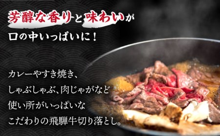 ＼贅沢な味わいをご家庭で／ 【飛騨牛】切り落とし 500g (250g×2)【肉のひぐち】 国産 ブランド牛 和牛 BBQ キャンプ  [TDC009]