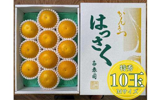 
                  化粧箱 手詰め 有田 はっさく 特秀 M サイズ × 10玉入 南泰園 みかん
                