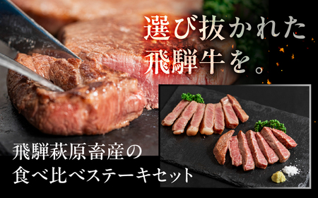 飛騨牛ステーキ 3種 食べ比べセット（各100g）計300g （サーロイン・ヒレ・赤身）【22-50】