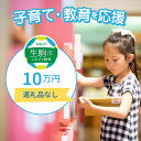 【ふるさと納税】子育て・教育を応援（返礼品なし） 10万円 寄附のみ申込みの方 056-014