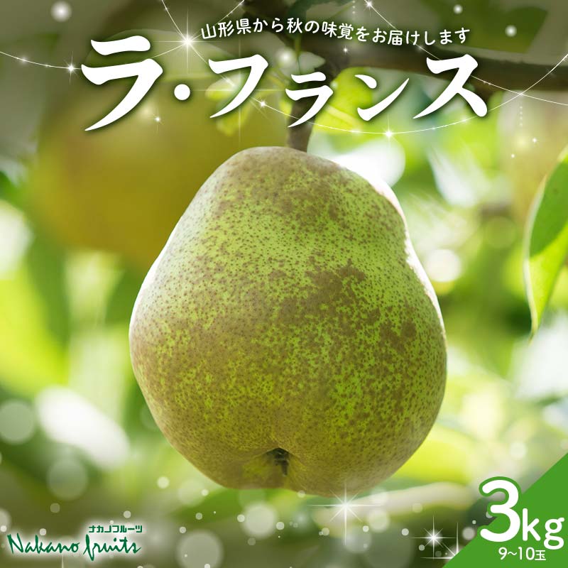 【ふるさと納税】【仲野観光果樹園】≪2025年先行予約≫贈答用 山形県産 西洋梨 ラ・フランス 3kg (9～10玉) 秀品 2025年11月上旬から順次発送 F2Y-6111