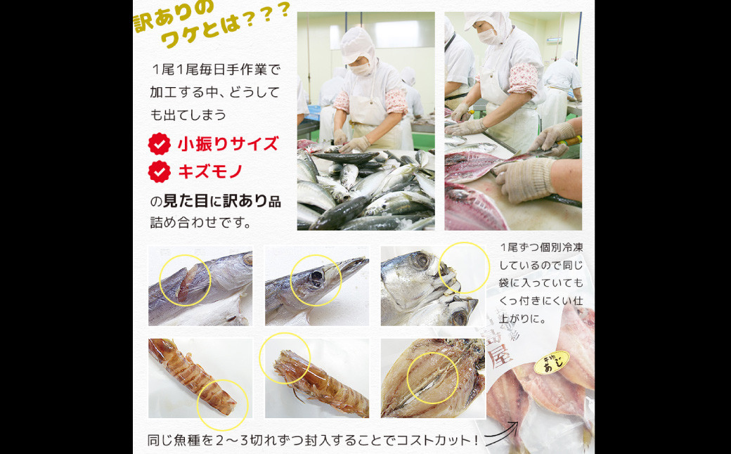 【最長2ヵ月前後】訳ありおまかせ干物 4種類 (12枚) とカラスミ詰め合わせ
