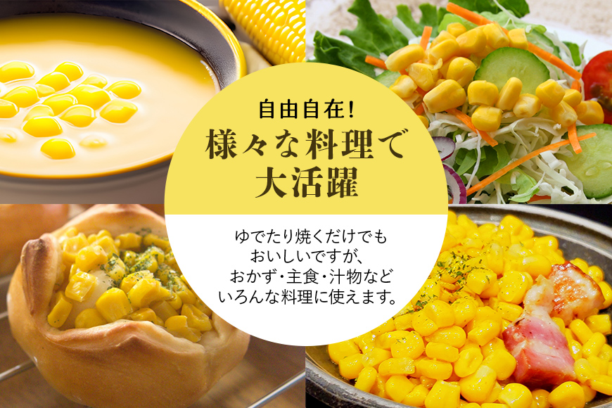 【数量限定 先行予約】＜2025年夏発送予定＞ブランドとうもろこし【Juwari-じゅわり-】ゴールドラッシュネオ 約4kg以上（8～10本入り） とうもろこし トウモロコシ 41-A