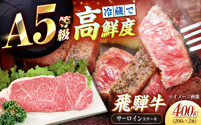 【チルド（冷蔵）発送！】 「飛騨牛」 A5等級 サーロインステーキ 200g×2枚 / 牛肉 焼肉 鉄板焼き 網焼き BBQ / 恵那市 / 東美濃農業協同組合 [AUFX011]