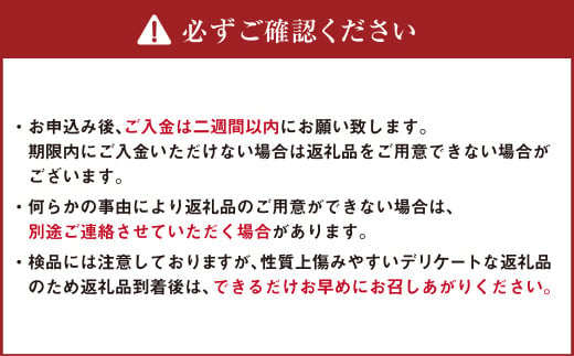 アスパラ 約2kg M～2L 【2025年4月下旬～6月下旬迄発送予定】