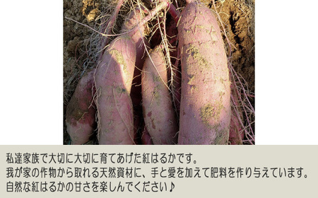 No.413 紅はるか20kg