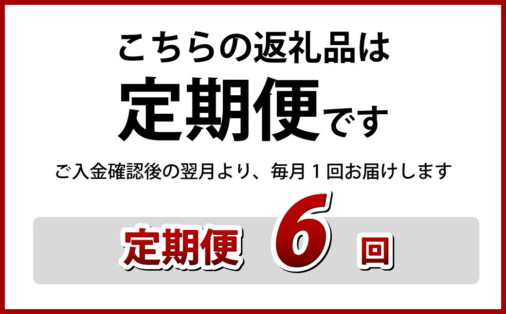 【全6回定期便】《具材付》長崎冷凍皿うどん (4食) 具材付き 簡単調理  麺 麺類 揚麺