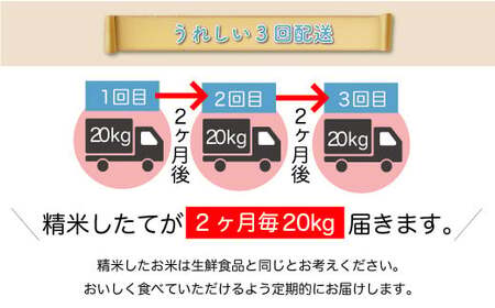 ＜令和7年産米先行受付＞ 令和7年12月下旬より発送 真室川町産 はえぬき【無洗米】60kg定期便(20kg×3回)　◆YYR7H6020M-M2512C