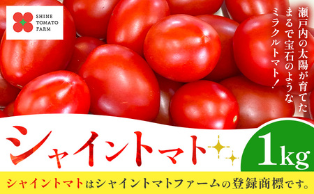 シャイントマト 1kg シャイントマトファーム《12月上旬-6月中旬頃出荷》岡山県 笠岡市  野菜 【配送不可地域あり】