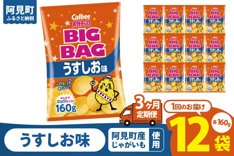 
            【3ヶ月定期便】カルビー ポテトチップス うすしお味 BIGBAG（160g）×12個｜Calbee お菓子 菓子 おやつ おかし ぽてち ポテチ スナック おつまみ ジャガイモ じゃがいも（93-56）
          