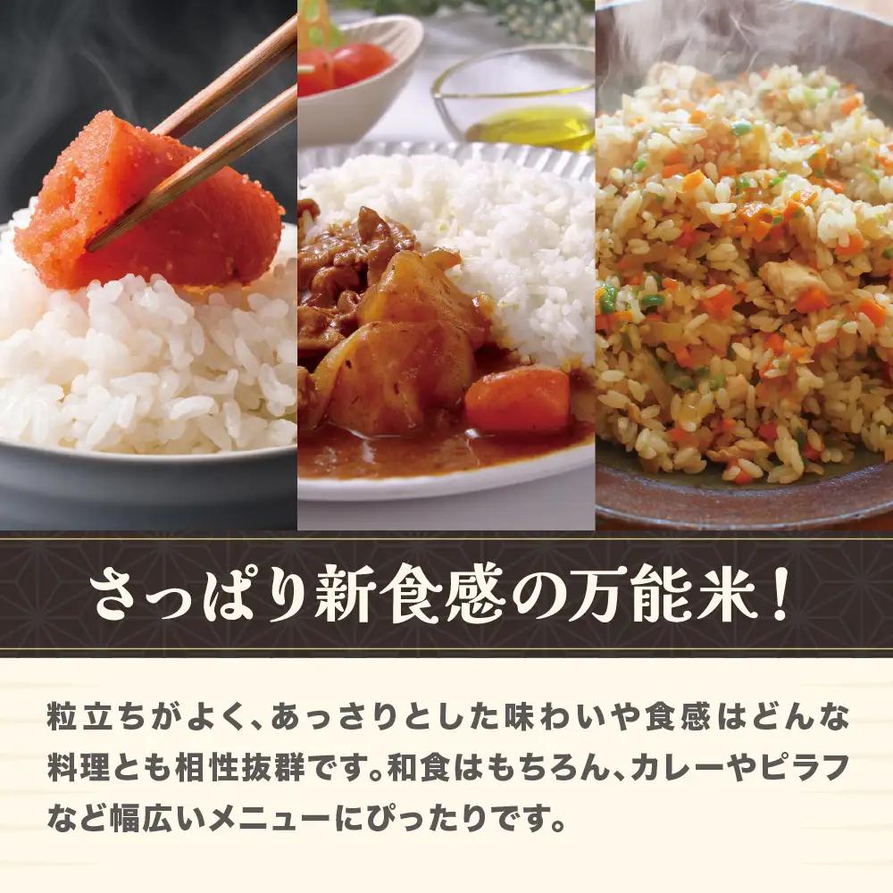 新米 令和8年産 玄米 雪若丸 10kg ja-ywgxb10