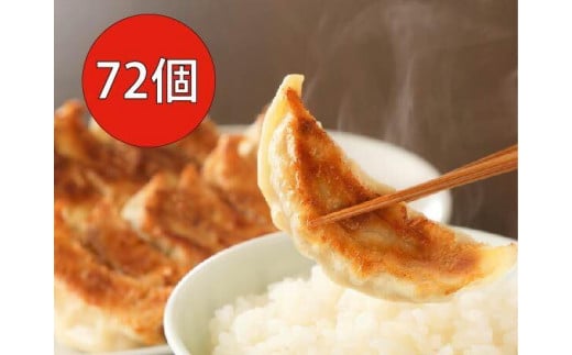 
長期熟成にんにくの芳醇な旨味が決め手 肉餃子・野菜餃子詰合せ　72個入り （肉餃子・野菜餃子　各12個入×3パック）
