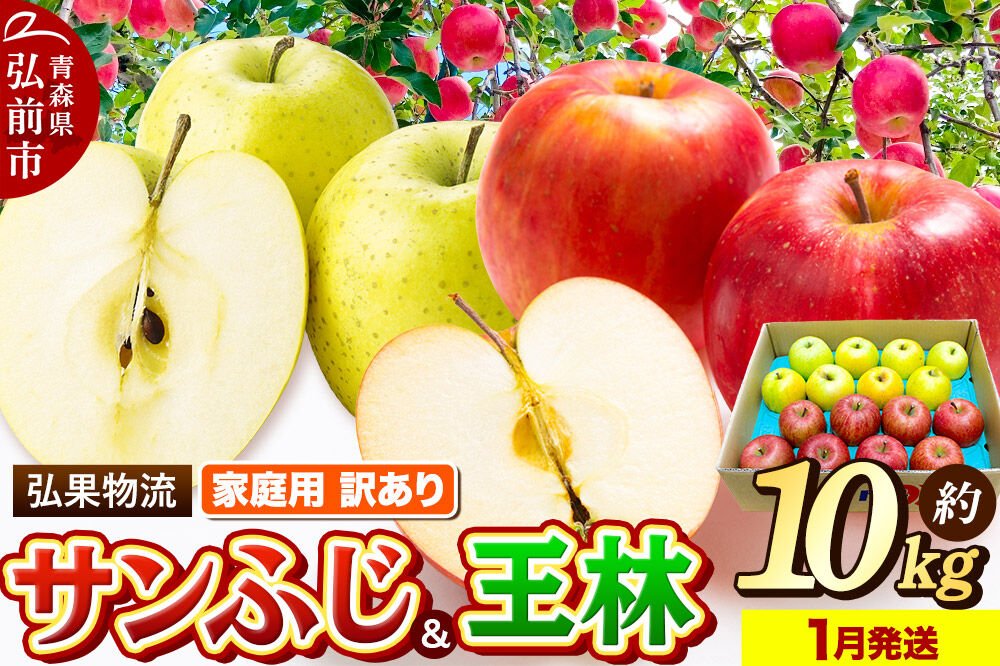 【27年1月発送】りんご 家庭用 訳あり サンふじ・王林 詰め合わせ 約10kg [アップル おいしい ふじ りんご 王林 黄色 果実 果物 詰め合わせ 詰合 赤色 美味 林檎]