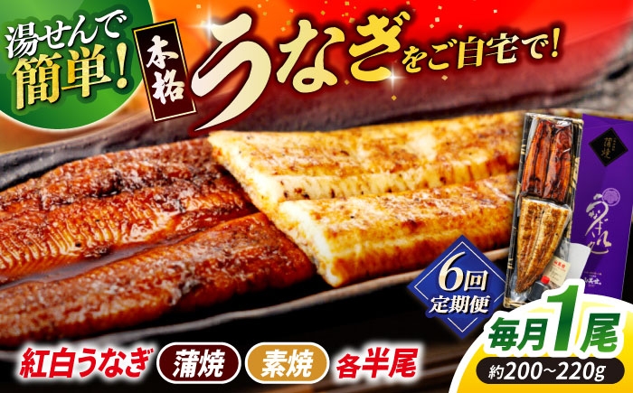 
                  【6回定期便】うなぎ老舗専門店のパリっとふっくら 紅白うなぎ 蒲焼・素焼半身　(真空パック/秘伝のタレ・藻塩付き) 島根県松江市/株式会社山美世商会 [ALDC017]｜国産 うなぎ ウナギ 鰻 特大 蒲焼き 蒲焼 国産 冷蔵 うな重 定期便 
                