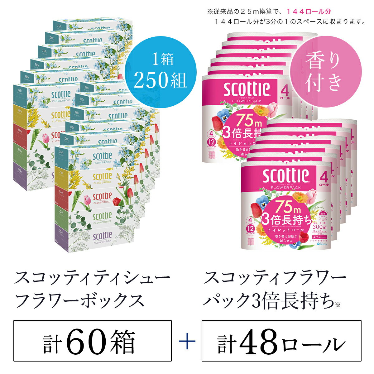 【ふるさと納税】ボックスティッシュ60箱＋トイレットロール48ロール セット / スコッティ ティッシュ トイレットペーパー セット 大容量 まとめ 大人気 おすすめ 肌触り 日本製 たっぷり ストック 家族 消耗品 リピート クレシア 回数 日用品 京都府 福知山市 FCAS025