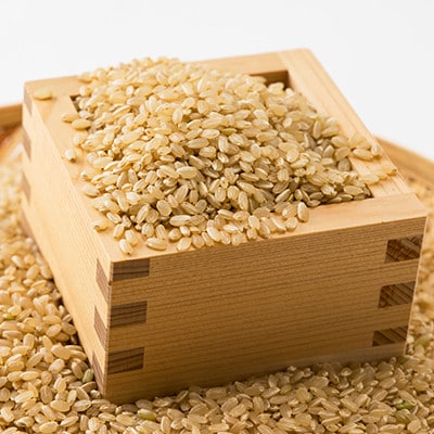令和6年産　揖保川の清流米(ヒノヒカリ30kg) 【玄米】