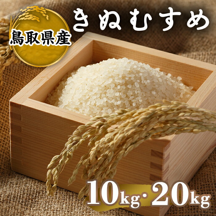 【ふるさと納税】＜2025年10月中旬〜2026年8月下旬発送予定＞＜数量限定＞＜容量が選べる＞令和7年産米鳥取県産きぬむすめ(10kg〜20kg)【sm-DD066】【Workplays】