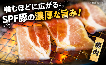【訳あり】【月1回1.3kg×6回定期便】大西海SPF豚 肩ロース（焼肉＆しゃぶしゃぶ用）計7.8kg＜大西海ファーム＞[CEK089]