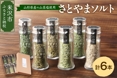 山形山菜さとやまソルト 6本 セット ( 6種類 各1本 約20g ) 山菜 塩 しお 酒田の塩 調味料 料理 山菜 化粧箱入り 福祉施設 就労支援