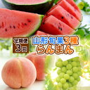 【ふるさと納税】【定期便3回】山形旬果 3種 らんまん 【令和7年産先行予約】FS24-811