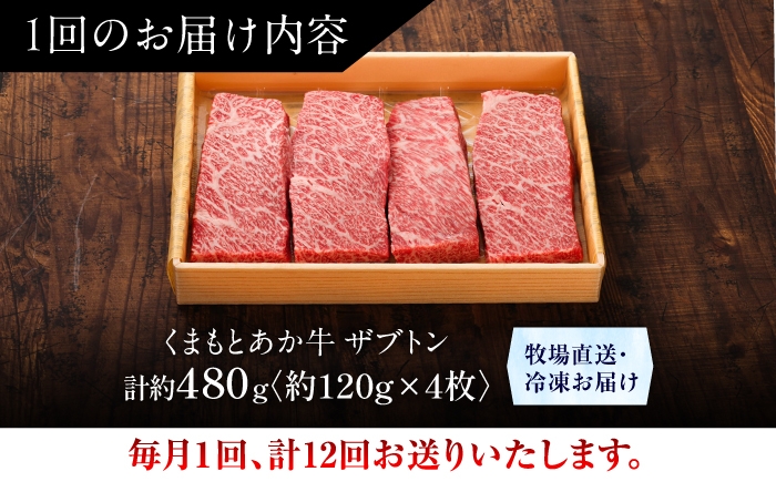 菊陽町 あかうし 熊本県 肉 にく niku ブランド 旨み くまもとあか牛 和牛 阿蘇 自然 自社牧場 直接 最高 定期便